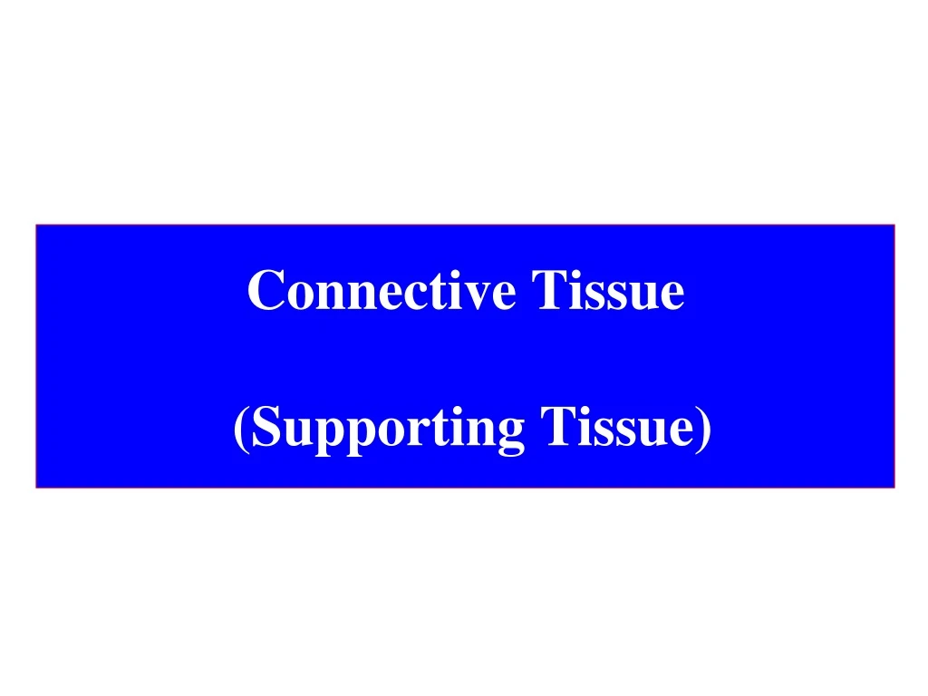 connective tissue supporting tissue