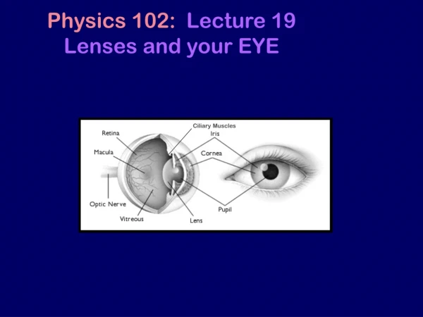 Physics 102: Lecture 19 Lenses and your EYE