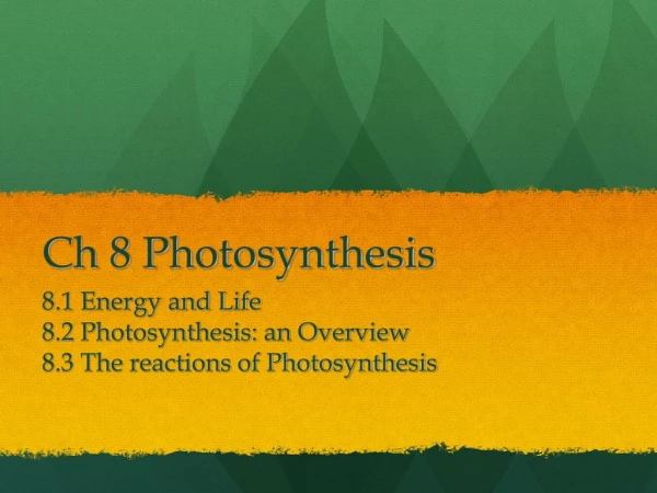 Ch 8 Photosynthesis