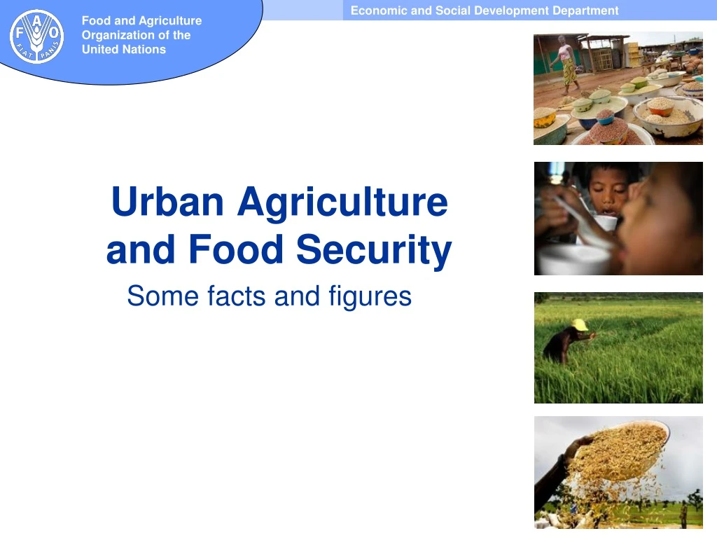 urban agriculture and food security