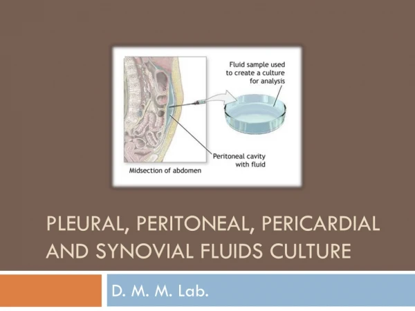 Pleural, peritoneal, pericardial and synovial fluids culture