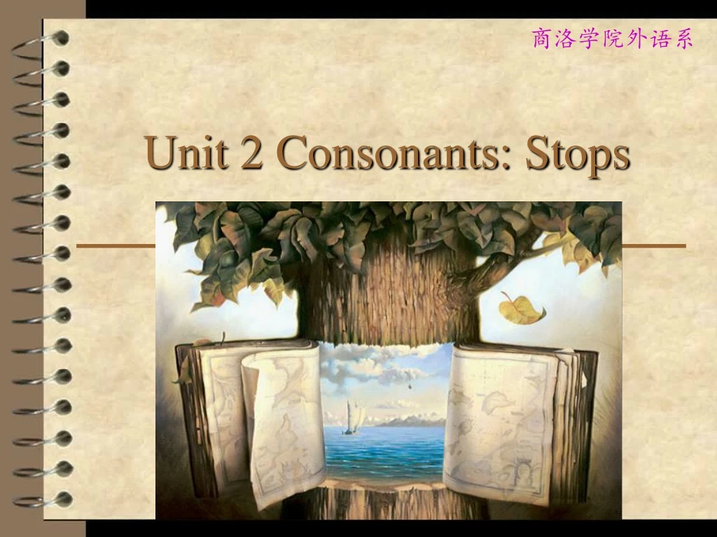 unit 2 consonants stops