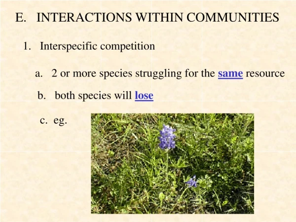 E. INTERACTIONS WITHIN COMMUNITIES