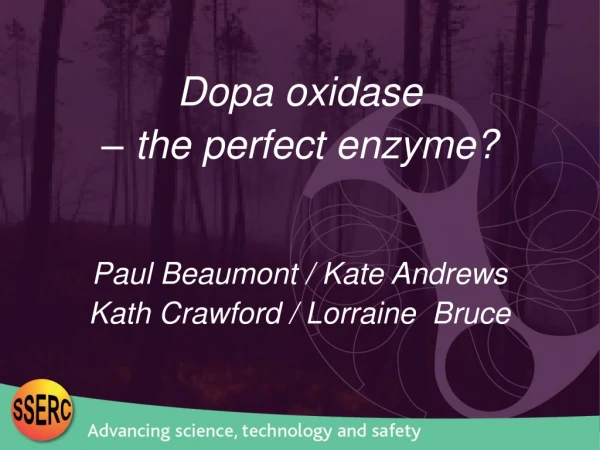 Dopa oxidase – the perfect enzyme? Paul Beaumont / Kate Andrews Kath Crawford / Lorraine Bruce