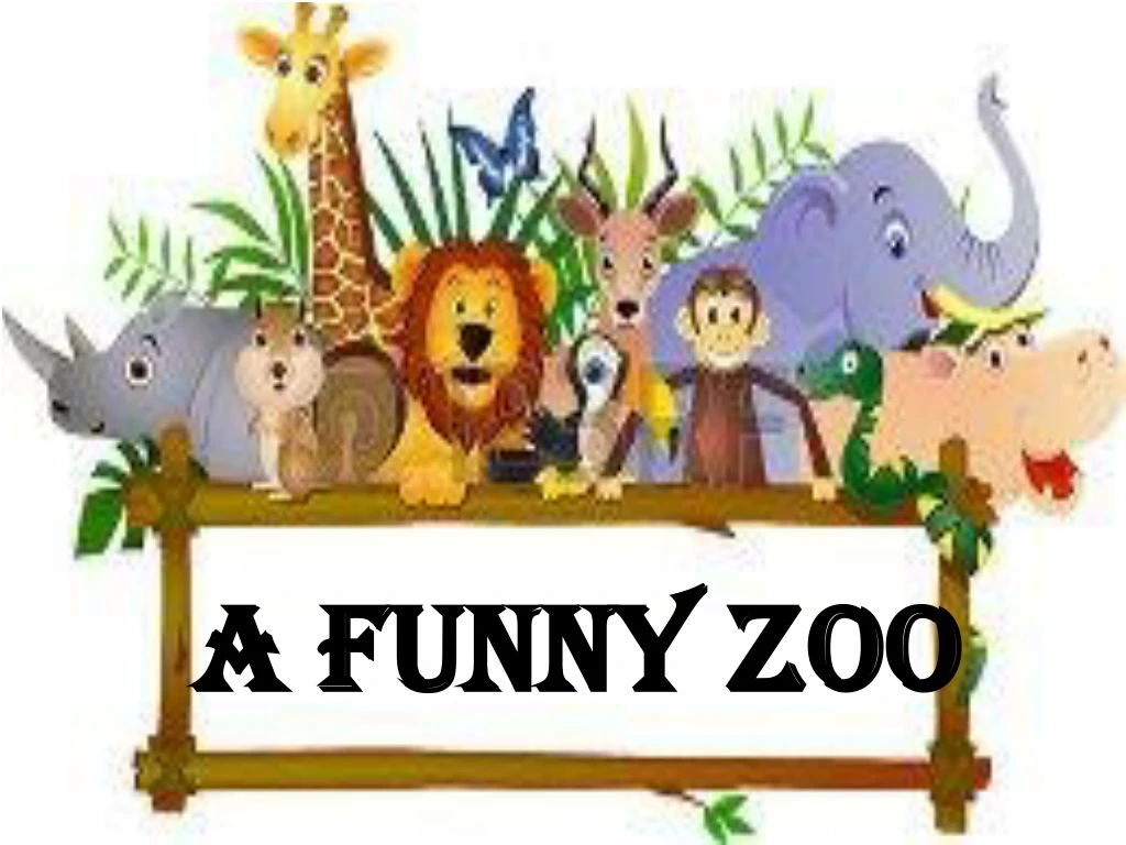 a funny zoo