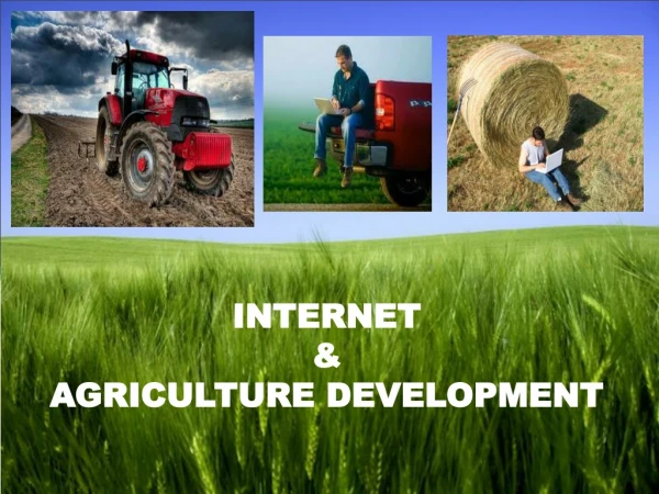 INTERNET &amp; AGRICULTURE DEVELOPMENT