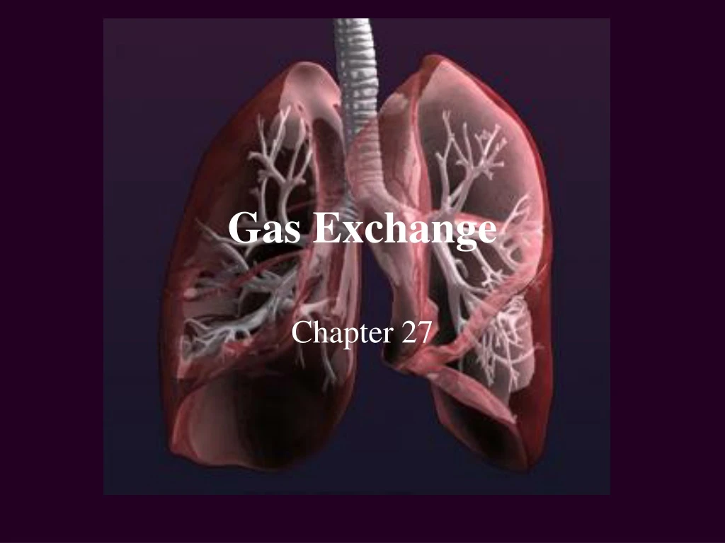 chapter 2 gas exchange case study 29