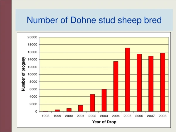 Number of Dohne stud sheep bred