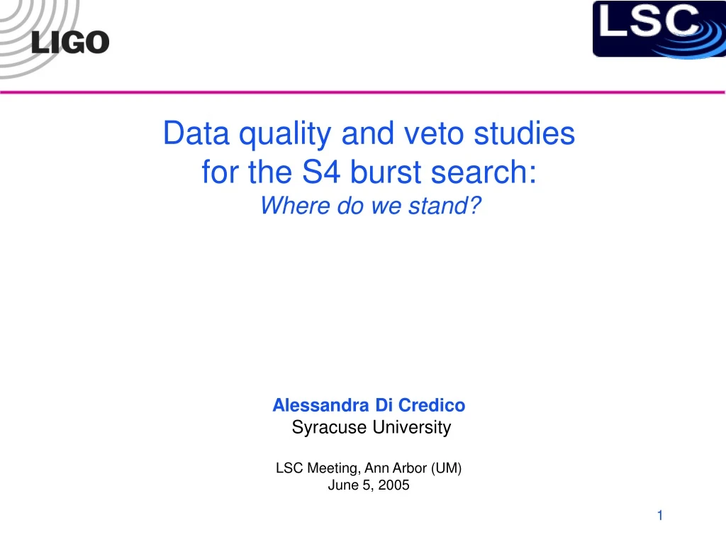 data quality and veto studies for the s4 burst