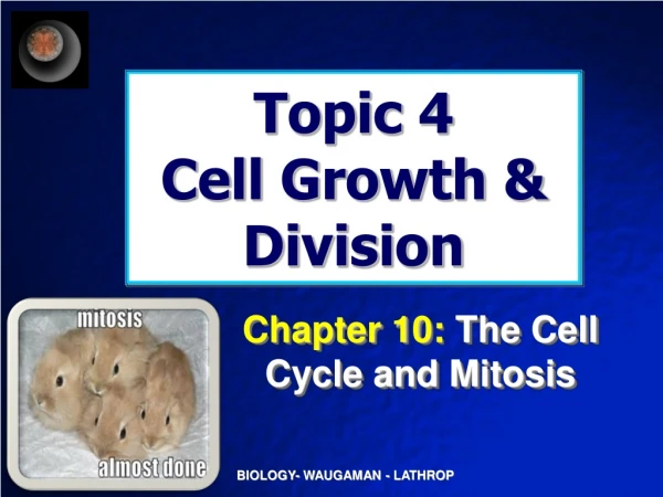 Topic 4 Cell Growth &amp; Division