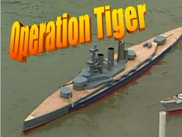 Operation Tiger