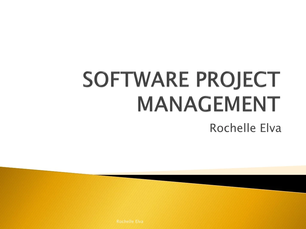 software project management