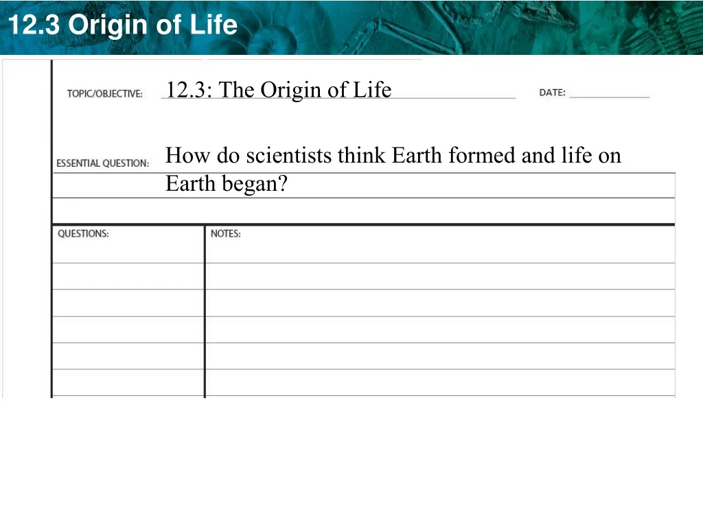 12 3 the origin of life