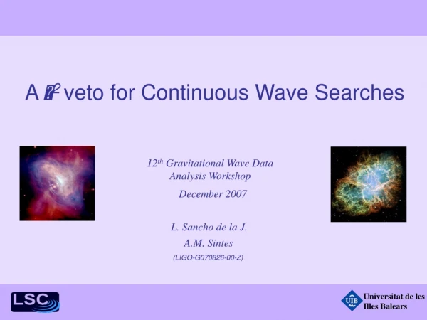 A ? 2 veto for Continuous Wave Searches