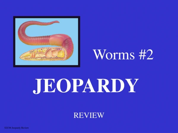 Worms #2