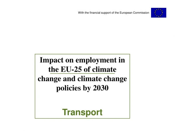 Impact on employment in the EU-25 of climate change and climate change policies by 2030 Transport