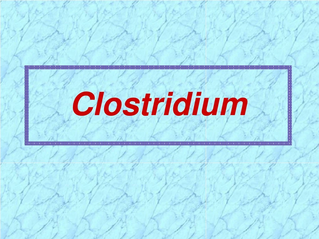clostridium