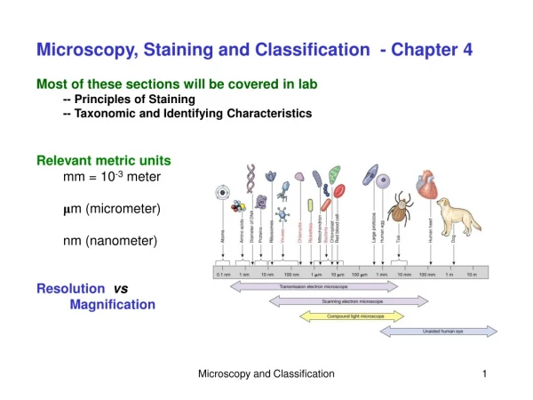 Microscopy, Staining and Classification - Chapter 4 Most of these sections will be covered in lab