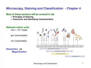 Microscopy and Classification: Exploring the World of Cells - slide 1