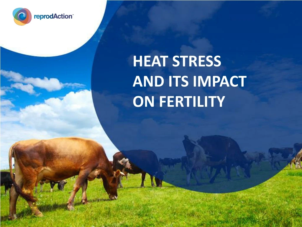 heat stress and its impact on fertility