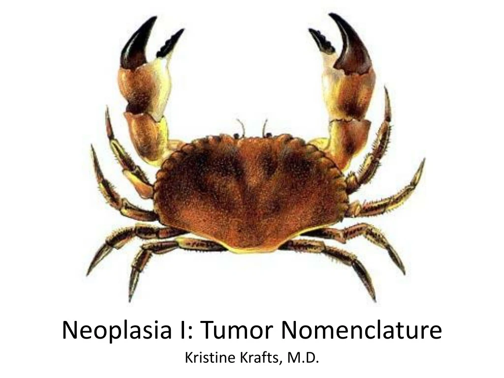 neoplasia i tumor nomenclature