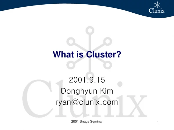 What is Cluster?