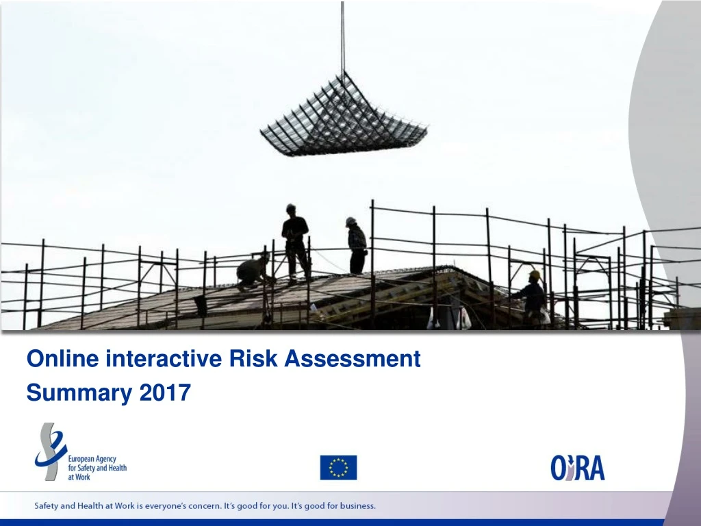 online interactive risk assessment summary 2017