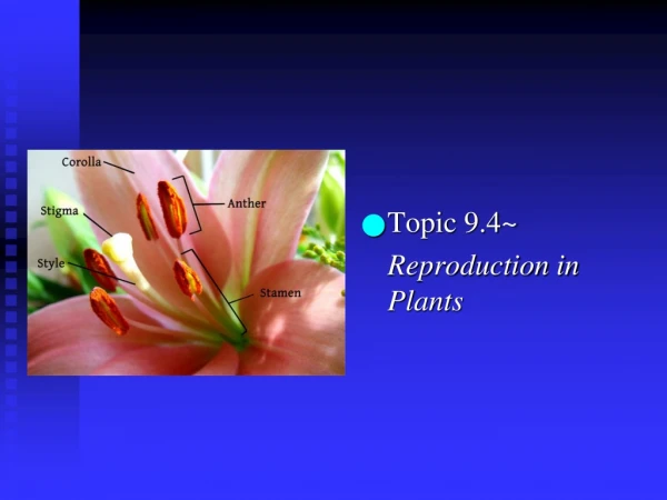 Topic 9.4~	 	Reproduction in Plants