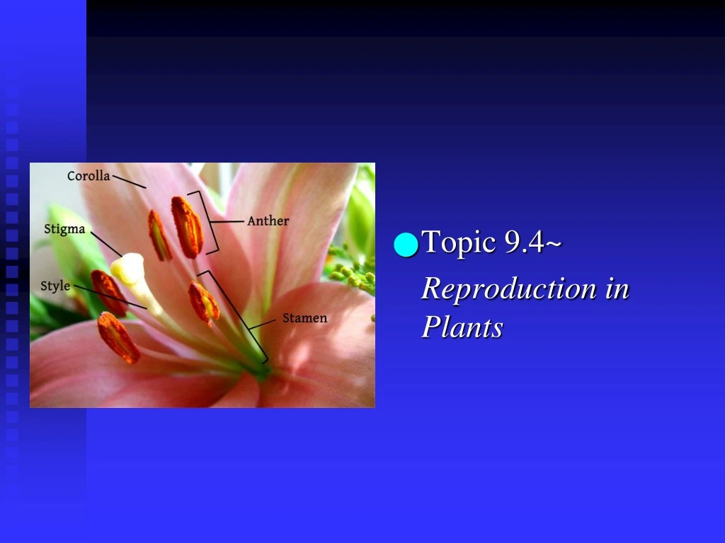 topic 9 4 reproduction in plants
