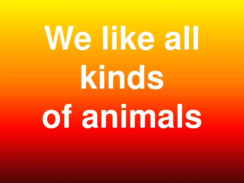 we like all kinds of animals