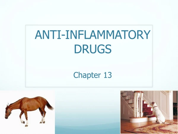 ANTI-INFLAMMATORY DRUGS Chapter 13