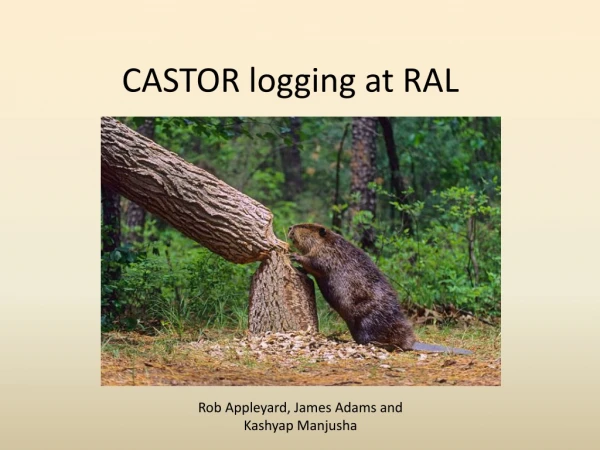 CASTOR logging at RAL