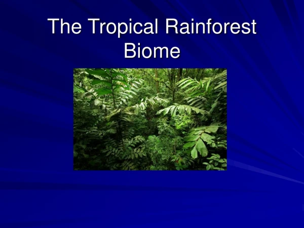 The Tropical Rainforest Biome