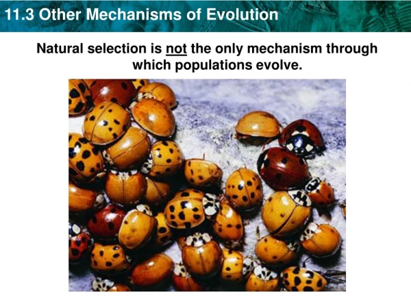 Natural selection is not the only mechanism through which populations evolve.