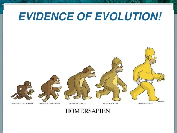 EVIDENCE OF EVOLUTION!