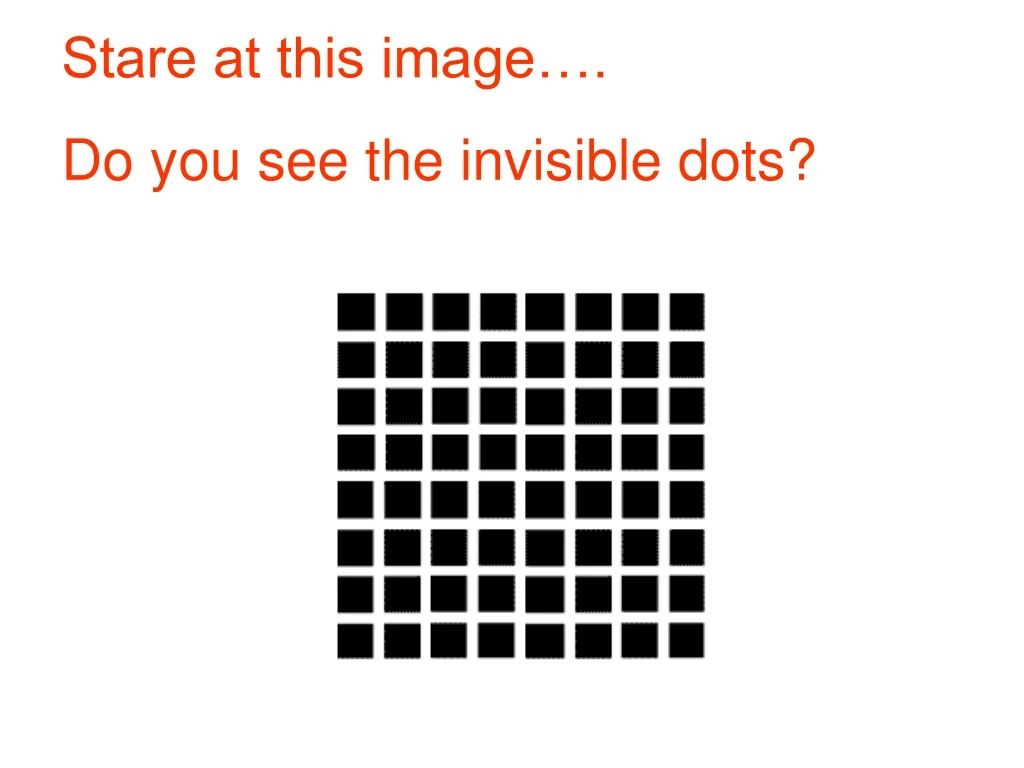 stare at this image do you see the invisible dots