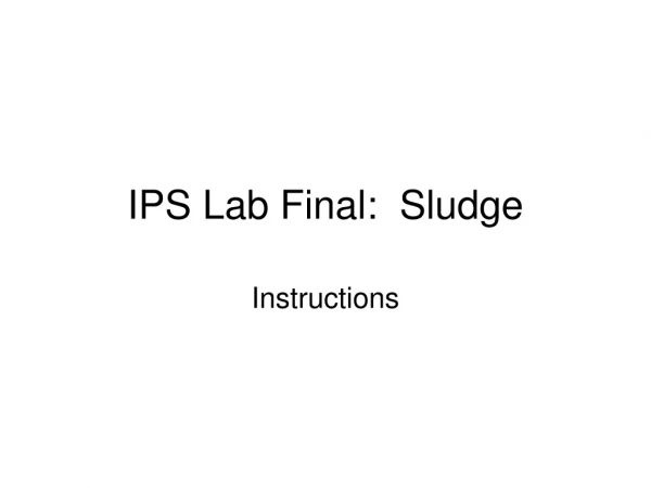 IPS Lab Final: Sludge