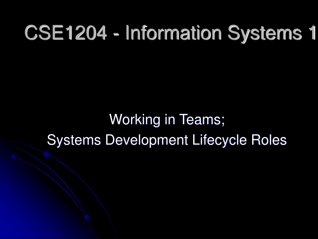 cse1204 information systems 1