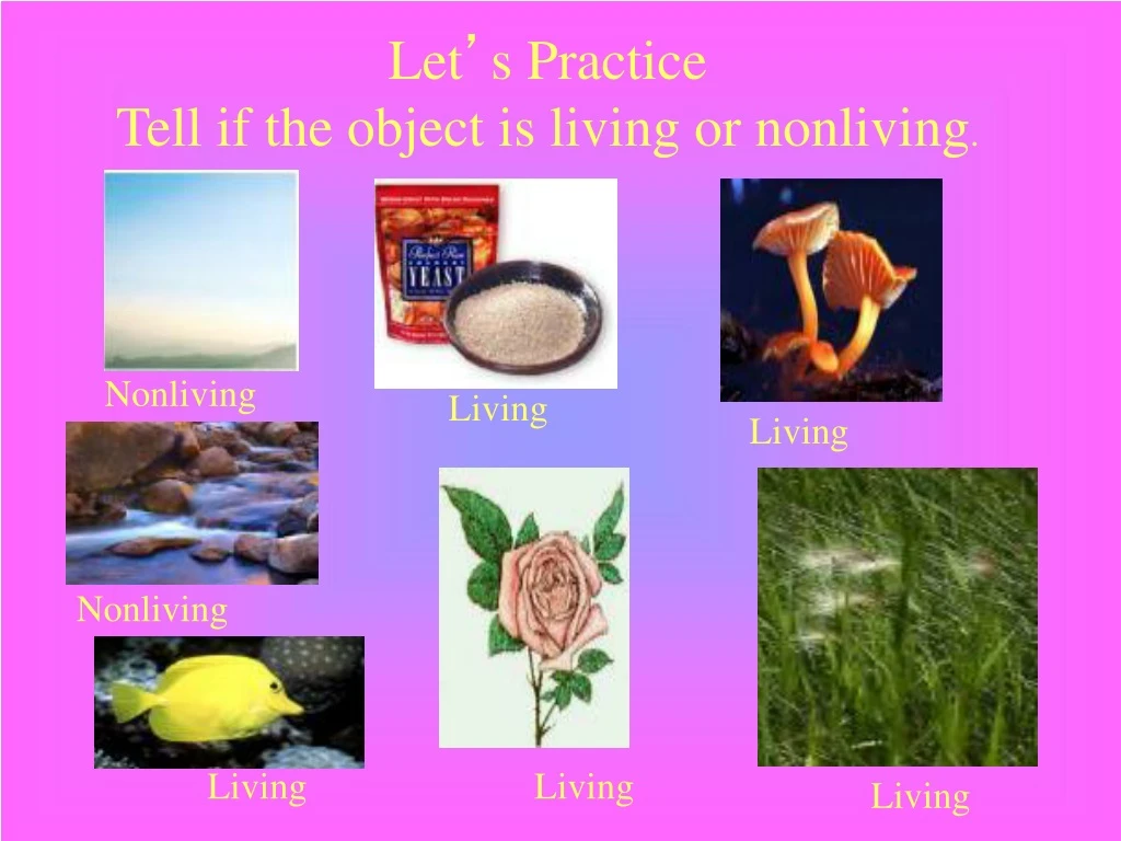let s practice tell if the object is living