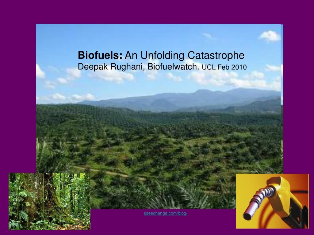 biofuels an unfolding catastrophe deepak rughani