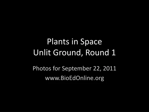 Plants in Space Unlit Ground, Round 1