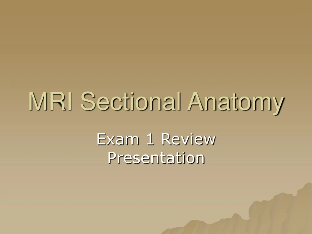 mri sectional anatomy