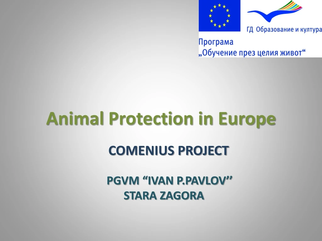 animal protection in europe