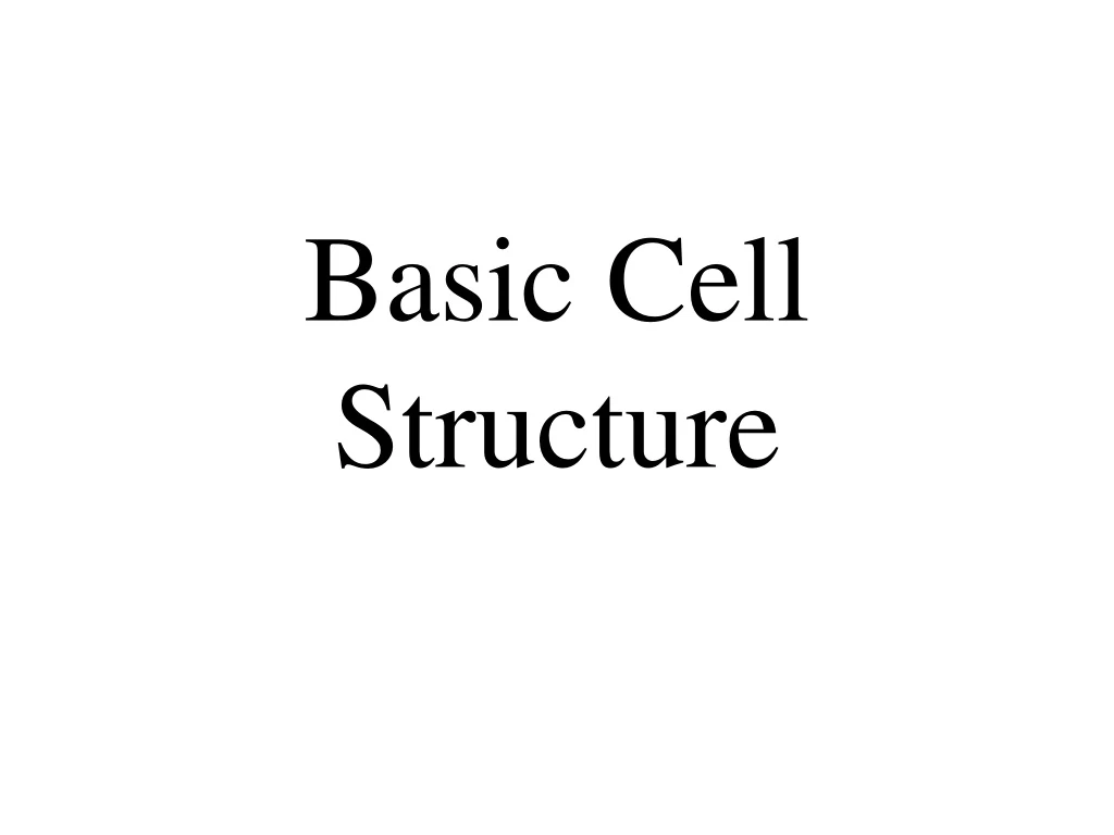 basic cell structure