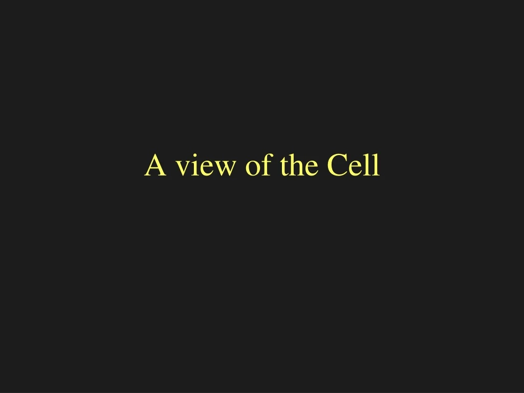 a view of the cell