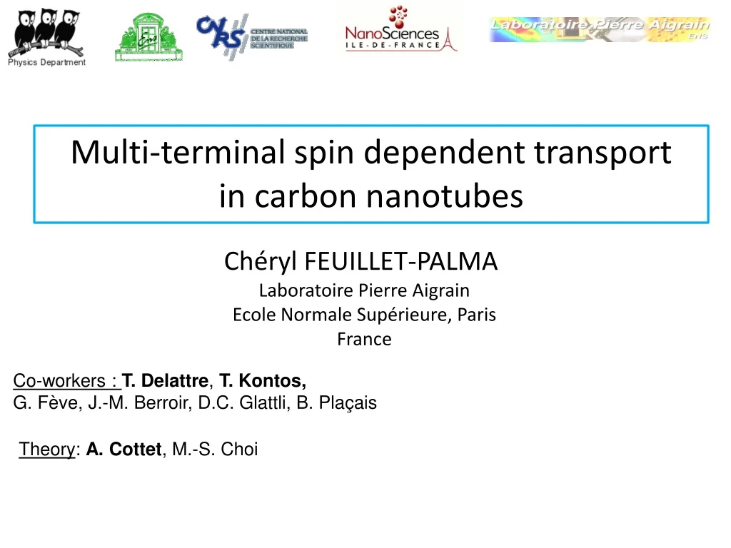 multi terminal spin dependent transport in carbon