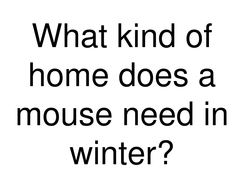 what kind of home does a mouse need in winter