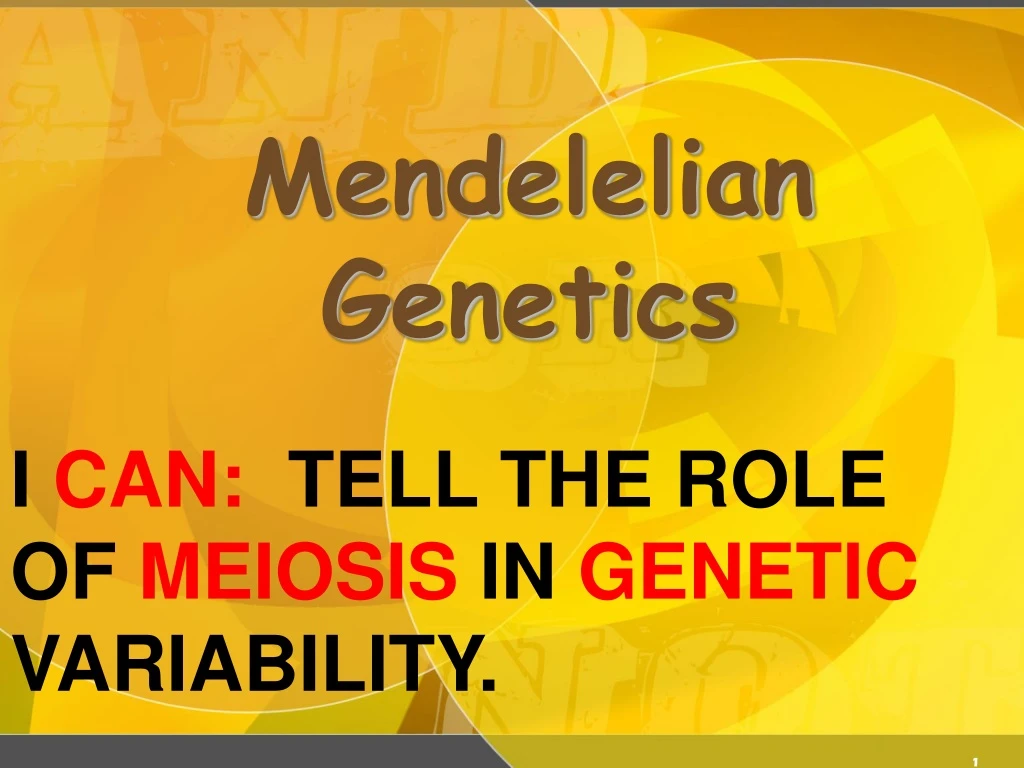 mendelelian genetics