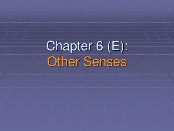 Chapter 6 (E): Other Senses