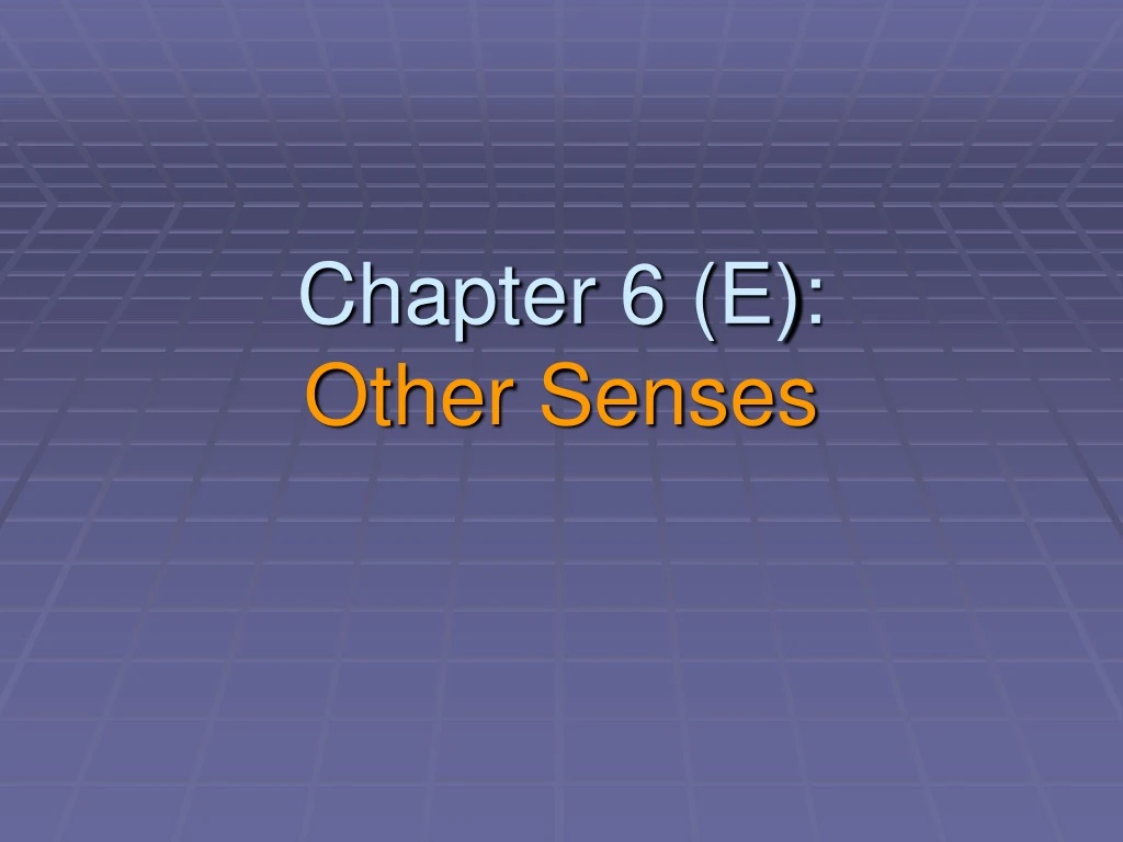 chapter 6 e other senses